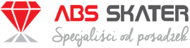 ABS SKATER