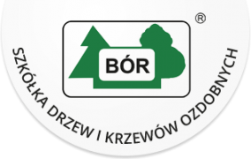BÓR Szkółka drzew