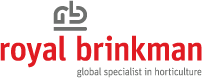 BRINKMAN POLSKA