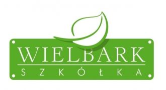 CHEŁSTOWSKI