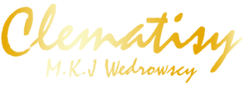 CLEMATISY