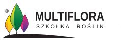 MULTIFLORA