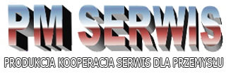 PM Serwis Paweł Maniewski