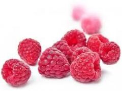 Production&Logistick of Frozen Foods