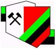 Sanatorium GÓRNIK SPA