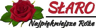 SŁARO - Najpiękniejsze Róże