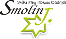Smolin