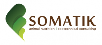Somatik