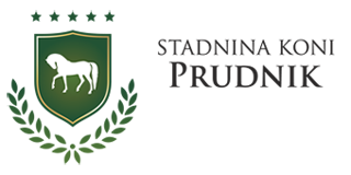 STADNINA KONI PRUDNIK