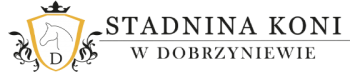 STADNINA KONI W DOBRZYNIEWIE