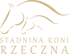 STADO OGIERÓW STAROGARD GDAŃSKI
