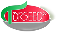 TORSEED