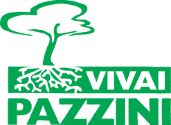 VIVAI PAZZINI