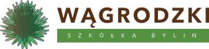 WĄGRODZKI BYLINY