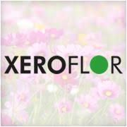 XERO FLOR