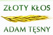 Złoty Kłos