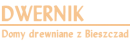 DUBIŃSKI