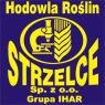 HR STRZELCE