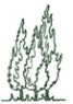 HUBCZUK