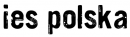 IES Polska