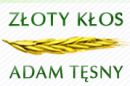 Złoty Kłos