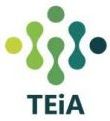 TEiA 2019