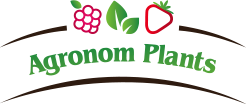 AGRONOM PLANTS