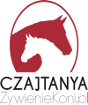 CZAJTANYA MIRPURI
