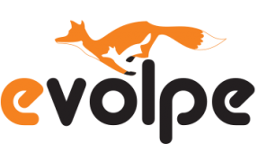 eVolpe Consulting Group