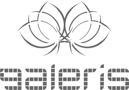 Grupa Galeris
