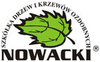 Nowacki