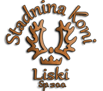 STADNINA KONI LISKI