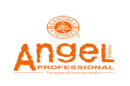 ANGEL PROFESSIONAL