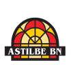 ASTILBE BN