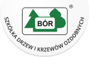 BÓR Szkółka drzew