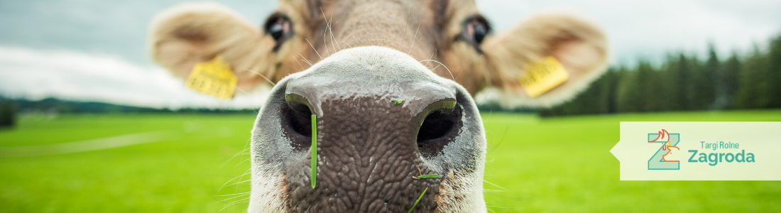 Nowoczesne rolnictwo na Zagrodzie 2019
