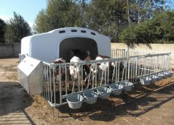 Domek dla cieląt grupowy 10 szt - CalfOTel XL-10