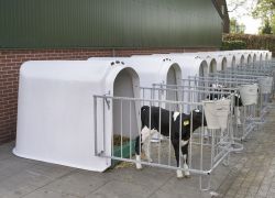 Domek dla cieląt mały - CalfOTel Small